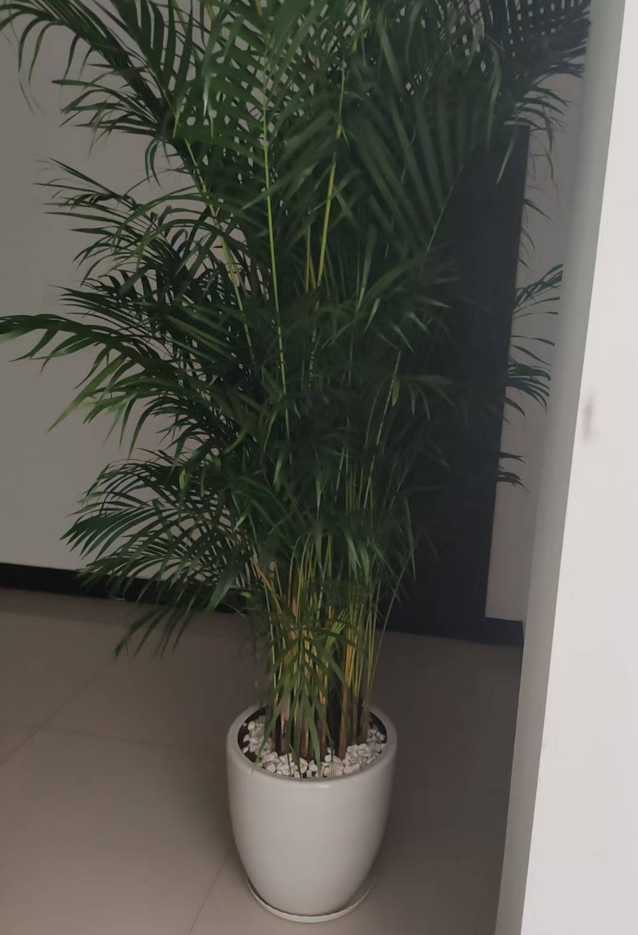 1754058105634661.png image.png