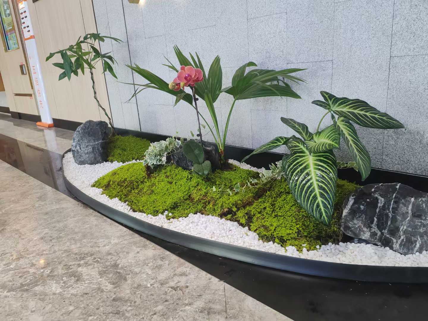 1757746980163657.jpg 41e655777291c39418c8997c2fd71725.jpg