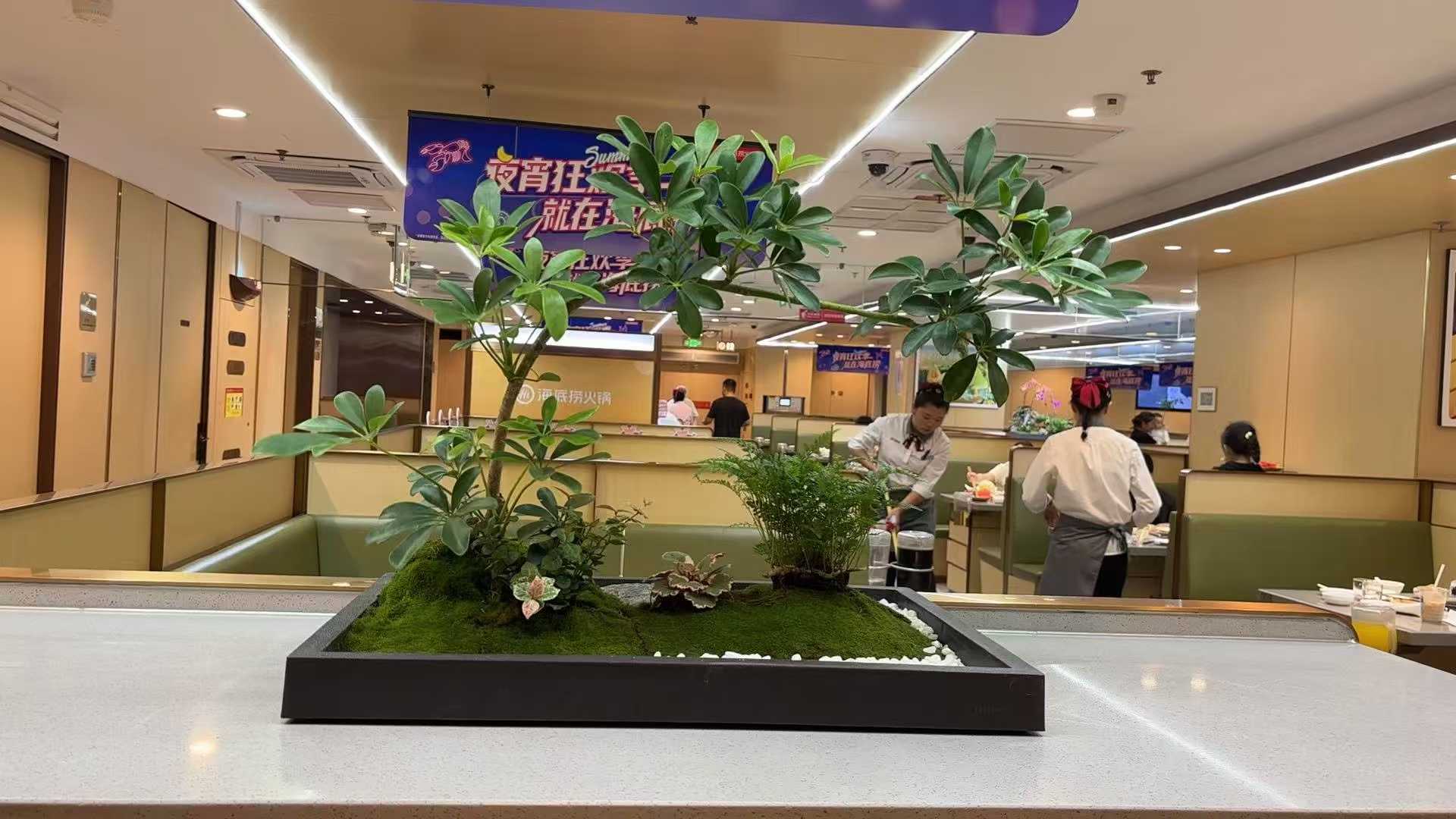 1757747028309406.jpg 83b3d2fd929edcdc452bba10c7886d74.jpg