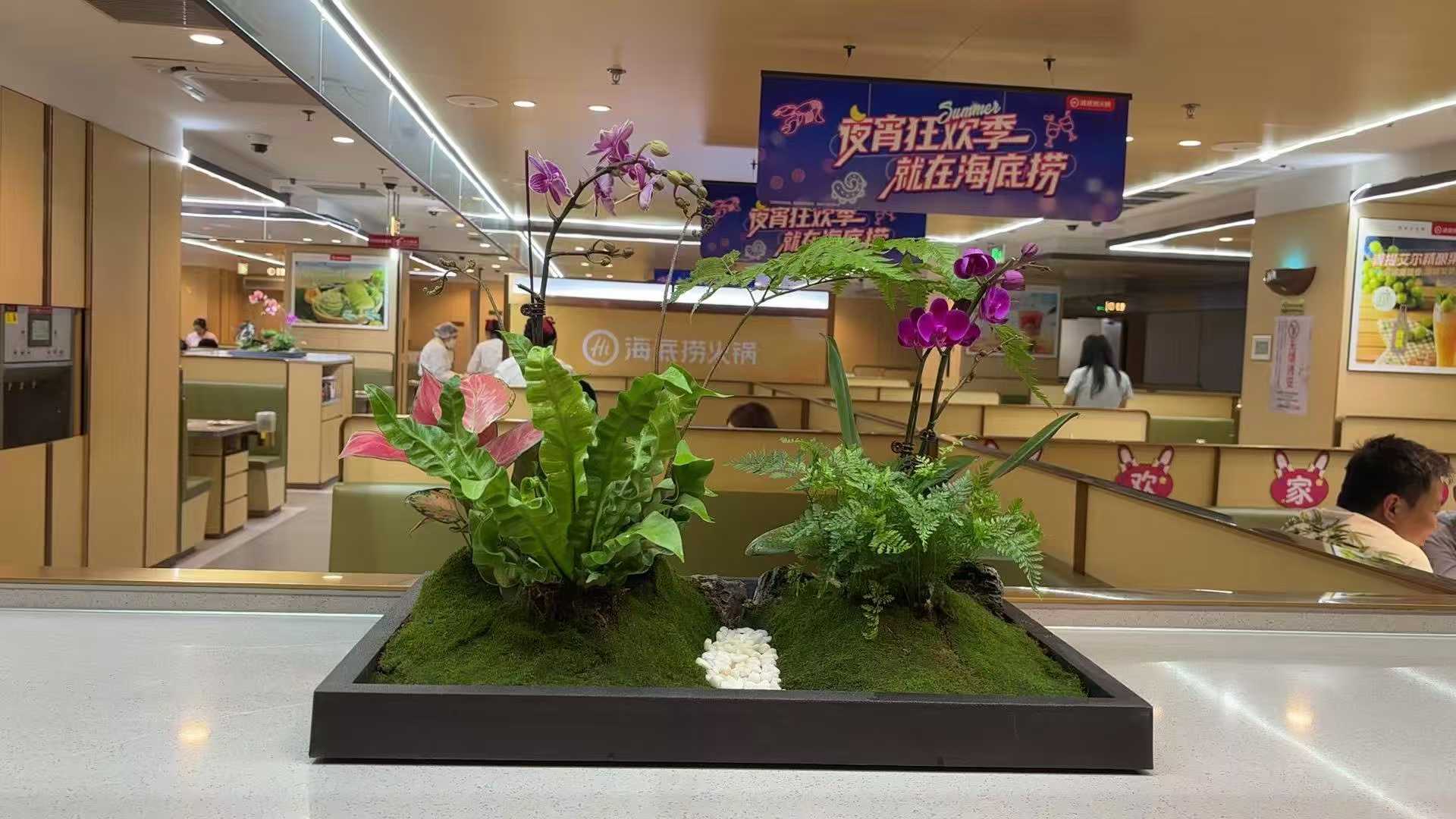 1757747055167221.jpg 56d9e30101ca7df899586492ebac47b2.jpg