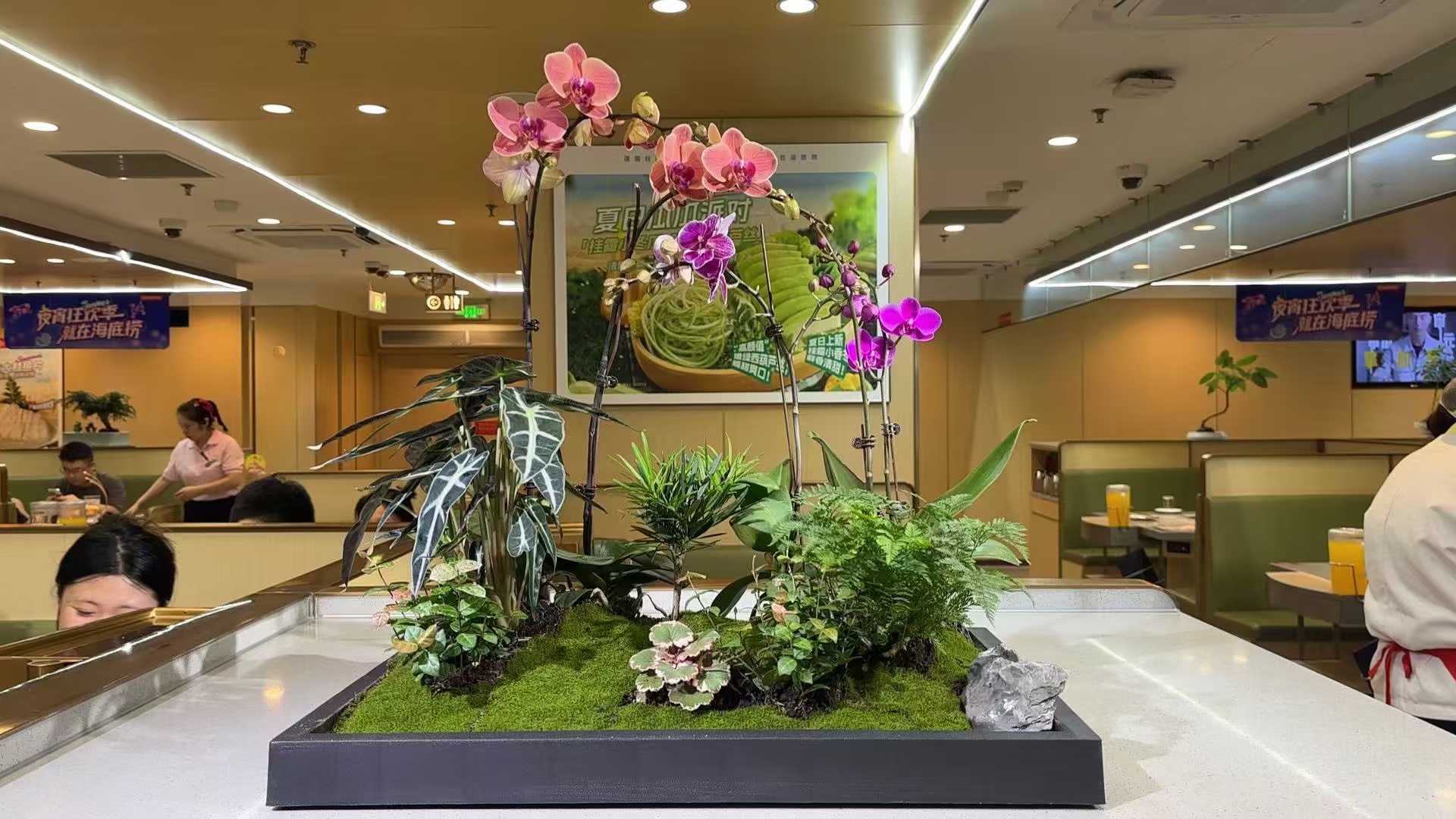 1757747038117560.jpg 803e6ac955cea7b23b185d1f43327aeb.jpg